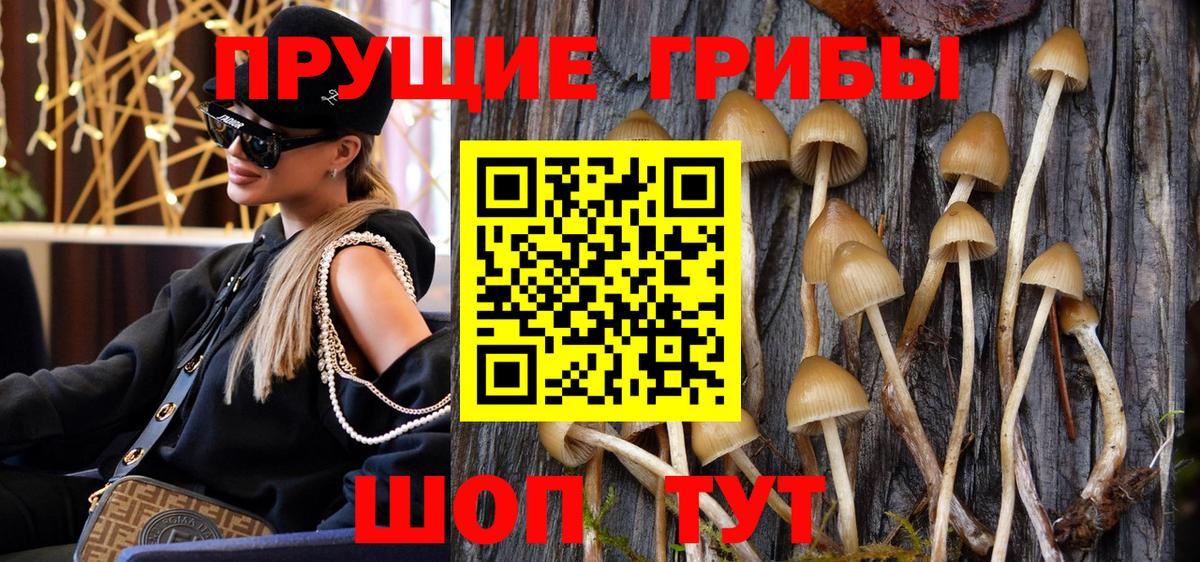 Галлюциногенные грибы ЛСД  Вход с VPN  Нижнеудинск 