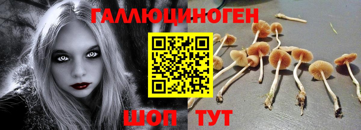 Галлюциногенные грибы Cubensis Нижнеудинск